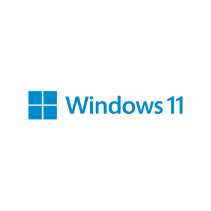 MICROSOFT Windows Pro 11, 64bit, English, DSP      FQC-10528